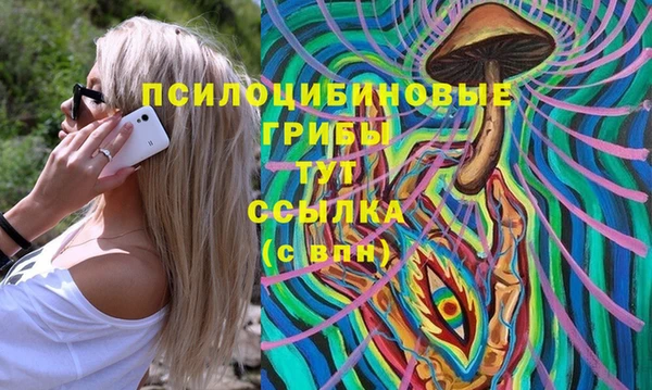 PSILOCYBIN Баксан